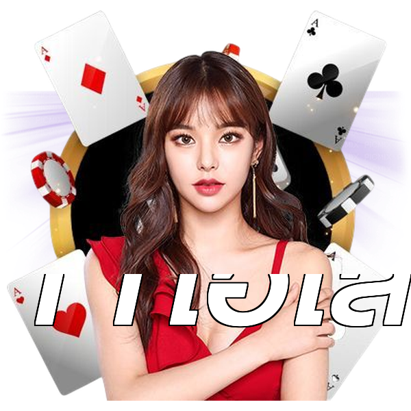11ไฮโล